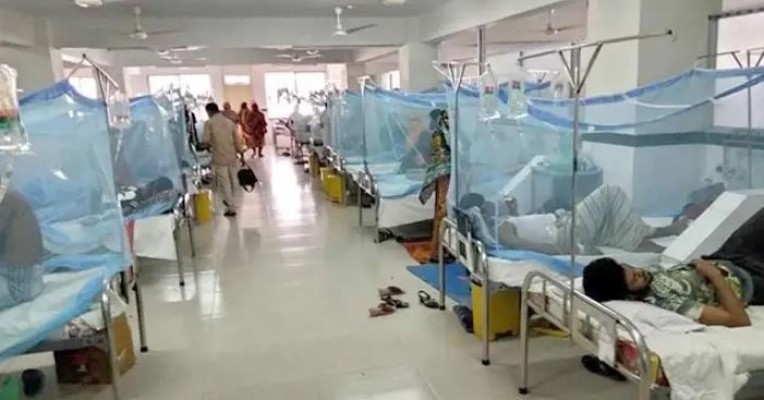 ডেঙ্গুতে একদিনে আরও ৯ জনের মৃত্যু