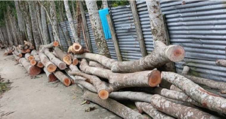 https://daily-bangladeshmirror.com/post/kumillay-obsrprapt-krrishi-krmkrtar-jmite-jorpuurwk-prbes-kre-hamla-stadhik-gach-krtn